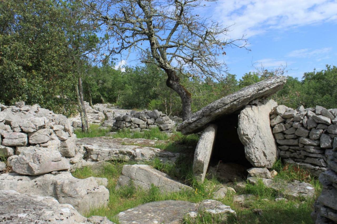 Mas Des Falaises Saint Alban Auriolles Eksteriør bilde